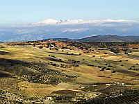 Felder vor der Sierra Nevada